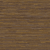 Arista-C