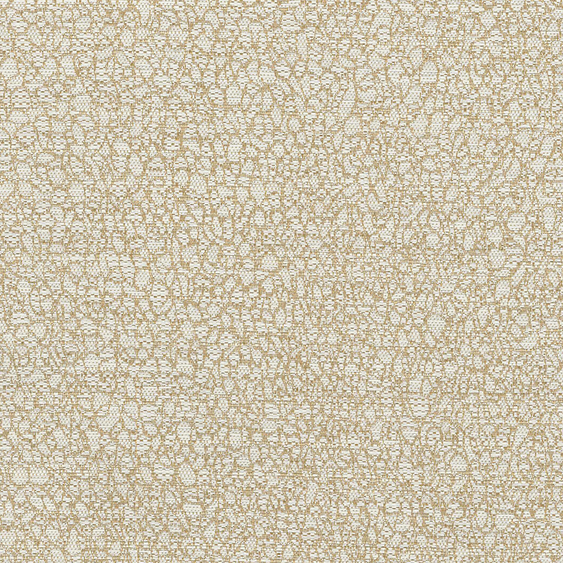 Ashford — Canvas