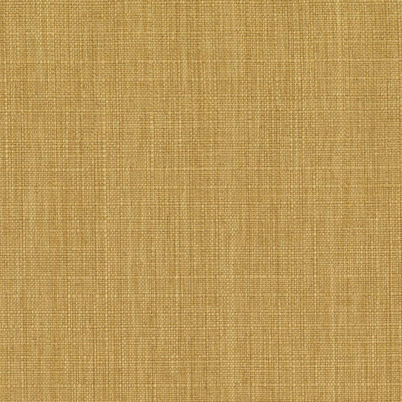 Bahia — Amber