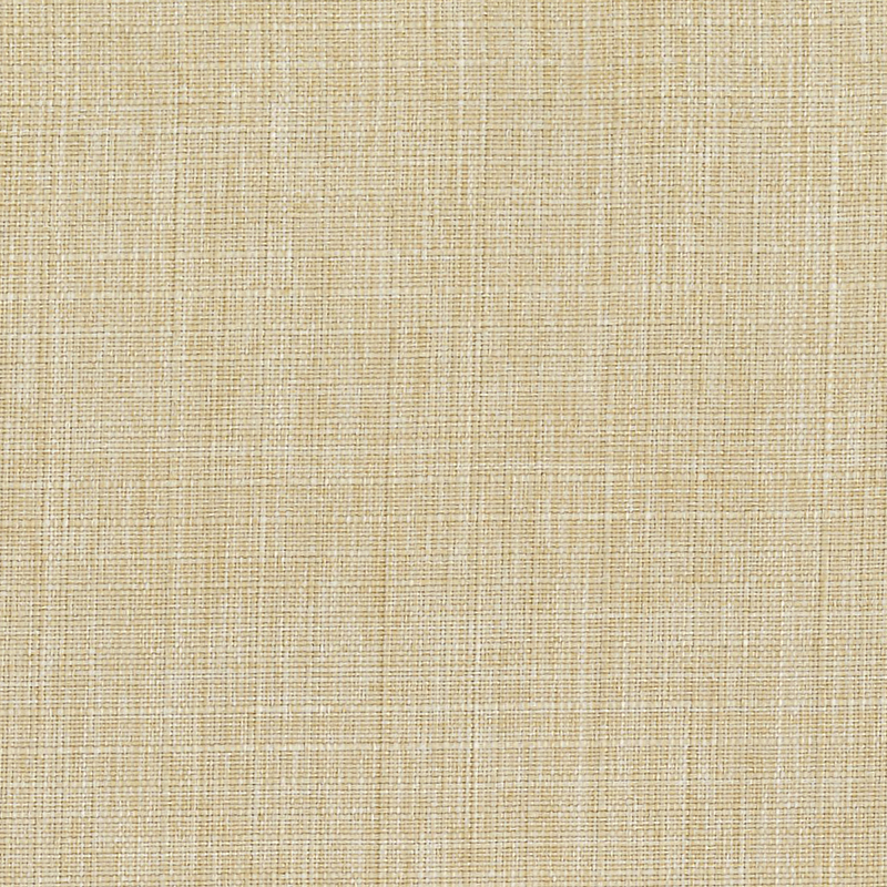Bahia — Biscuit