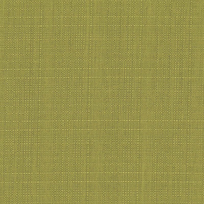 Bahia — Boxwood