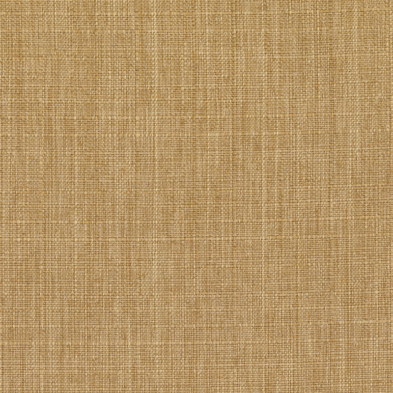 Bahia — Cedar