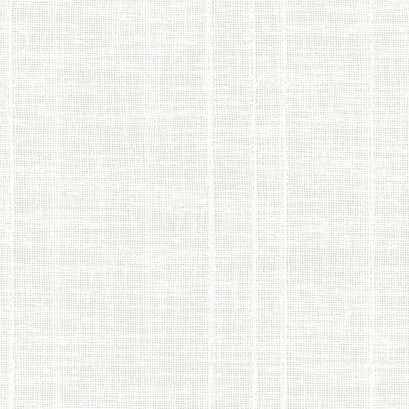 Focus-C — Cotton