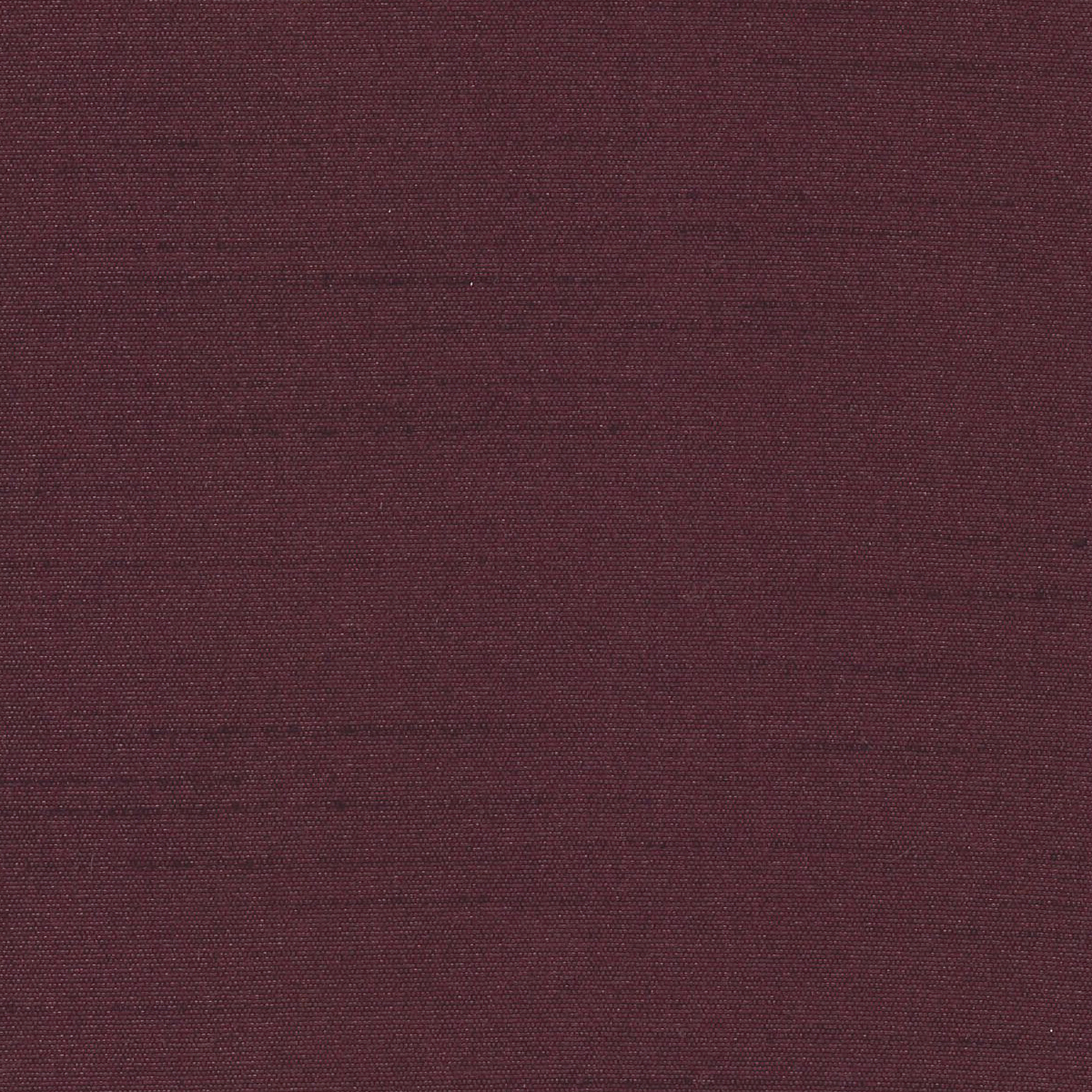 Knightsbridge — Raisin