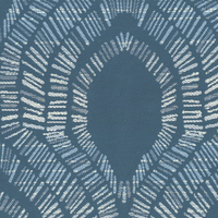 Mesmerize-C