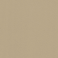 Sahara