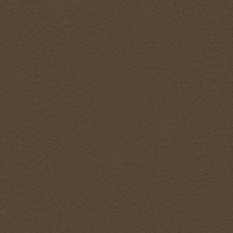 Sahara — Cedar