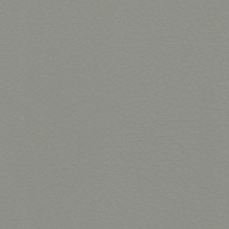 Sahara — Fog