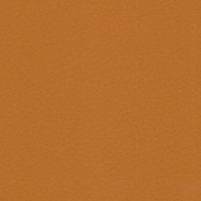 Sahara — Salmon