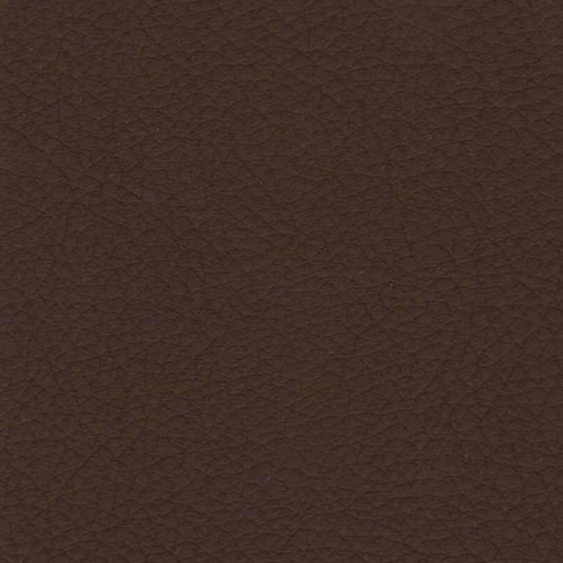 Sahara — Umber