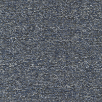 Savant-C