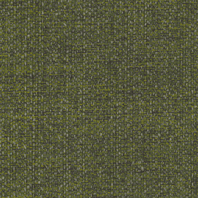 Sparta-C — Rain Forest