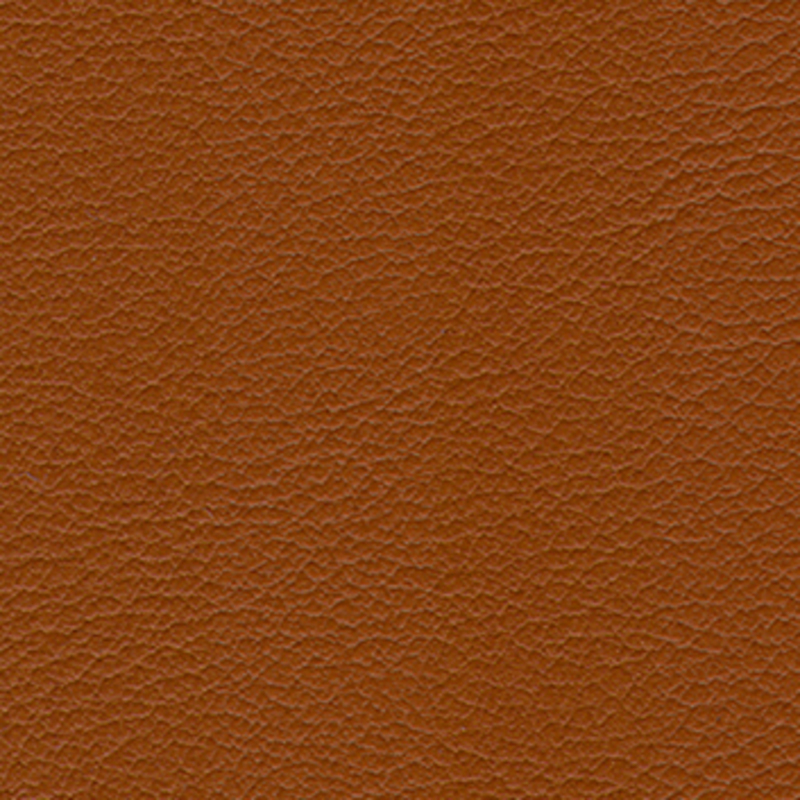 Vaggio — Curry