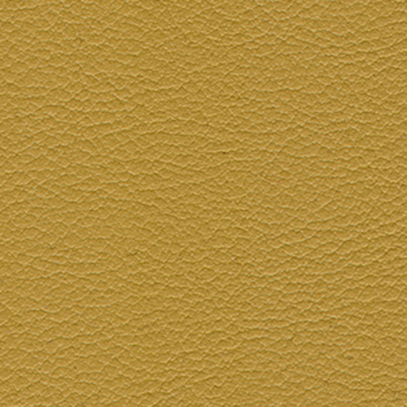 Vaggio — Maize