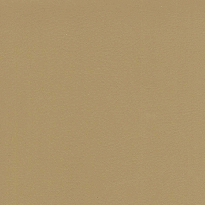 Vaggio — Vicuna