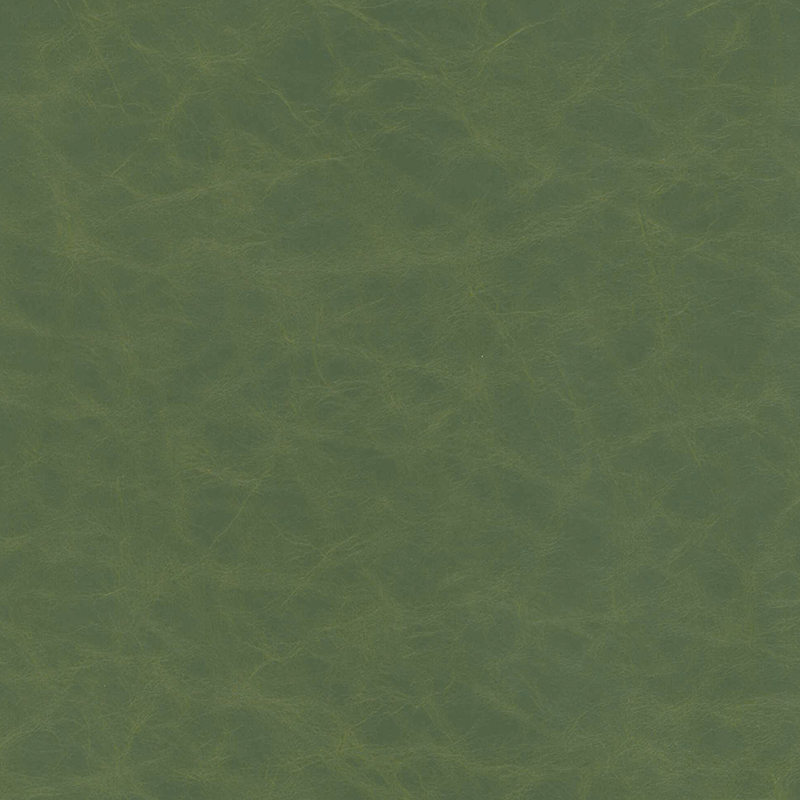 Vandyke — Arugula