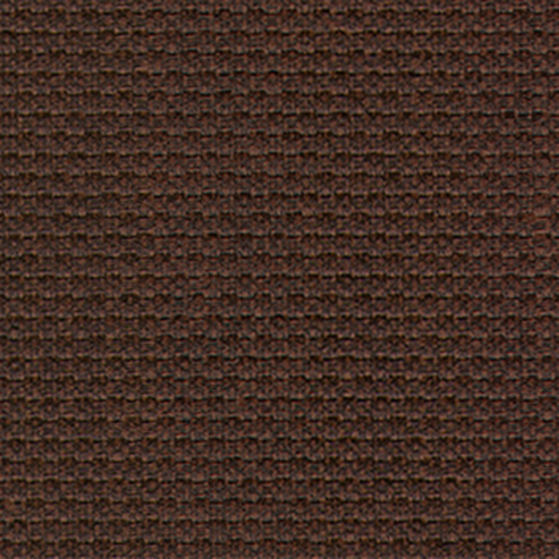 Vanicia — Cocoa