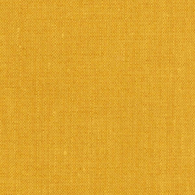 Vanicia — Maize