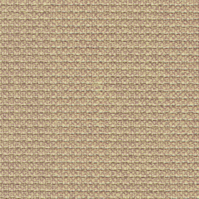Vanicia — Mushroom