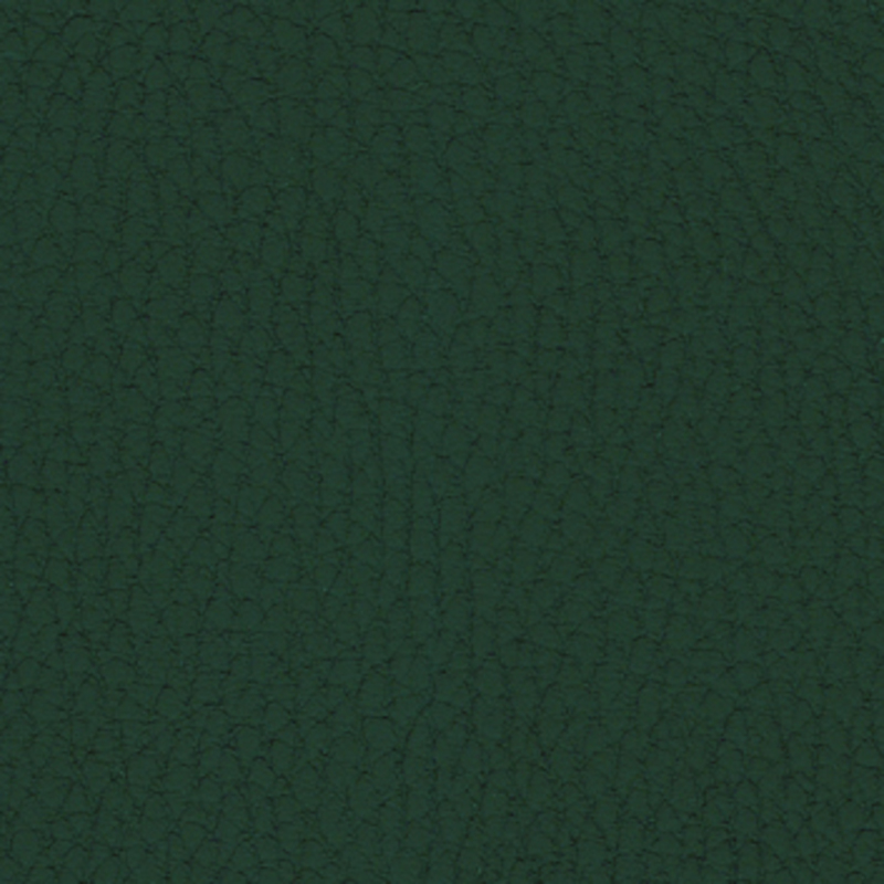  — Forest
