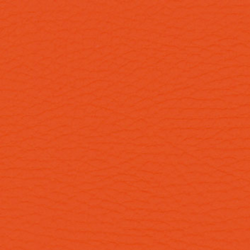  — Papaya
