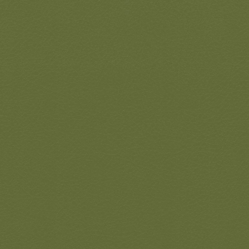 Verify — Boxwood