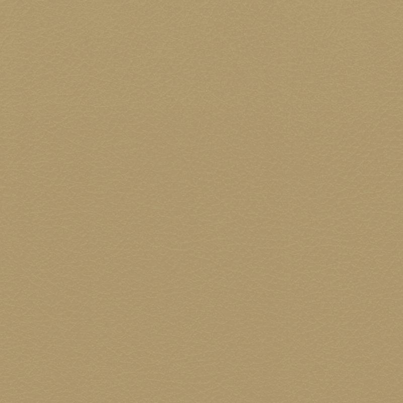 Verify — Buckskin