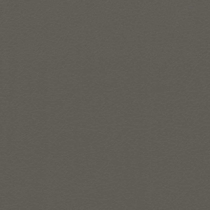 Verify — Pewter