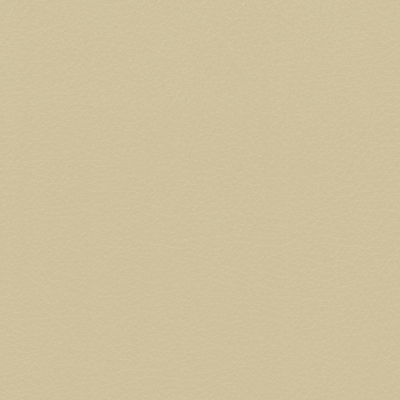 Verify — Pino