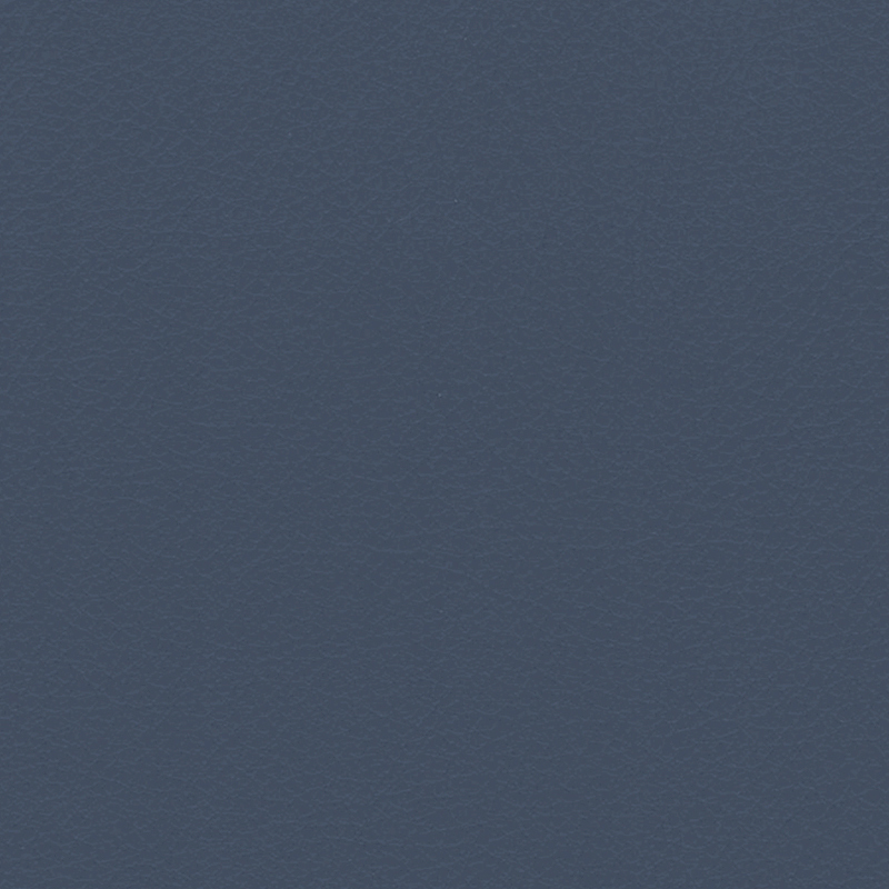 Verify — Rapids