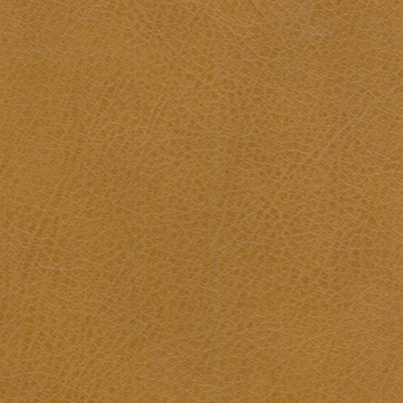 Vex — Maple