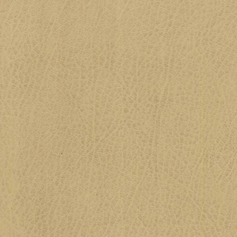 Vex — Parchment
