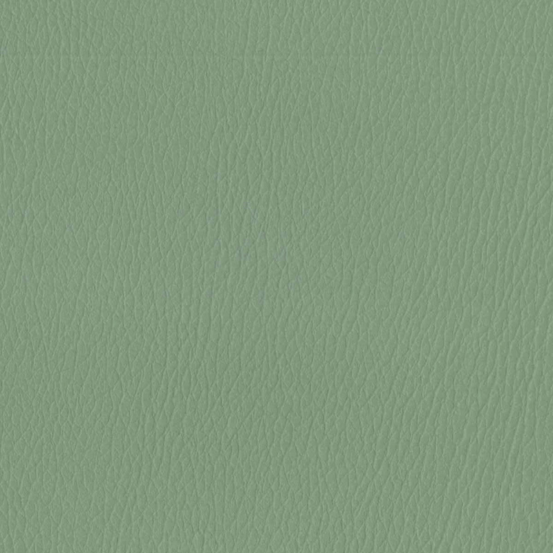 Vibe — Aloe