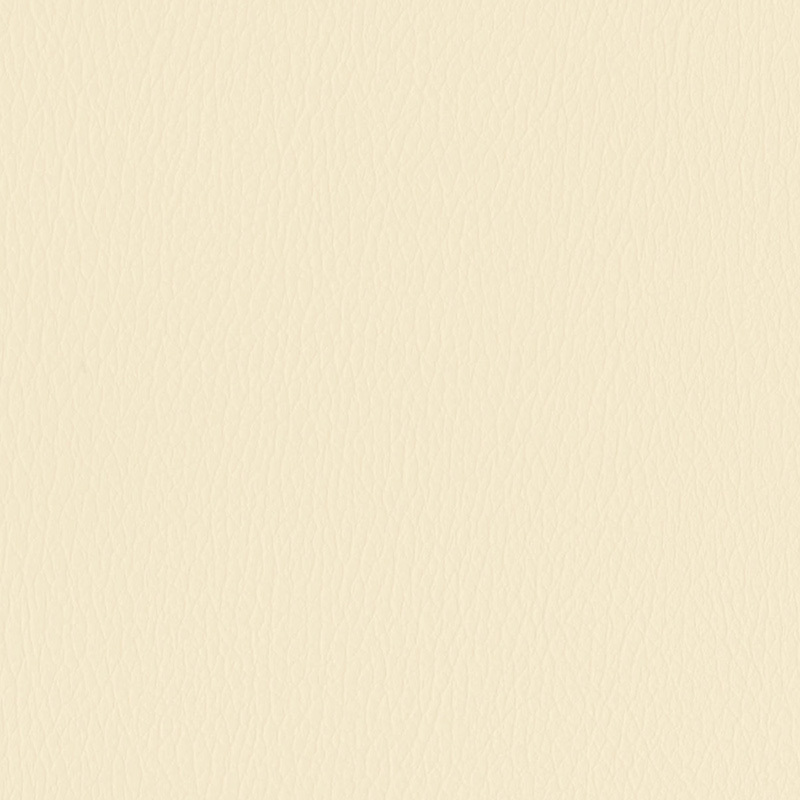 Vibe — Canvas