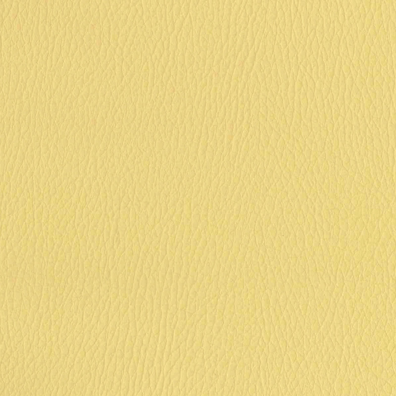 Vibe — Ginger