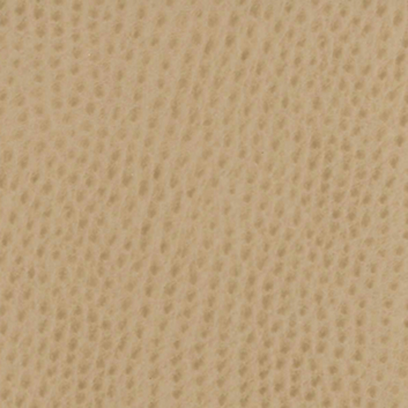 Viletta — Llama