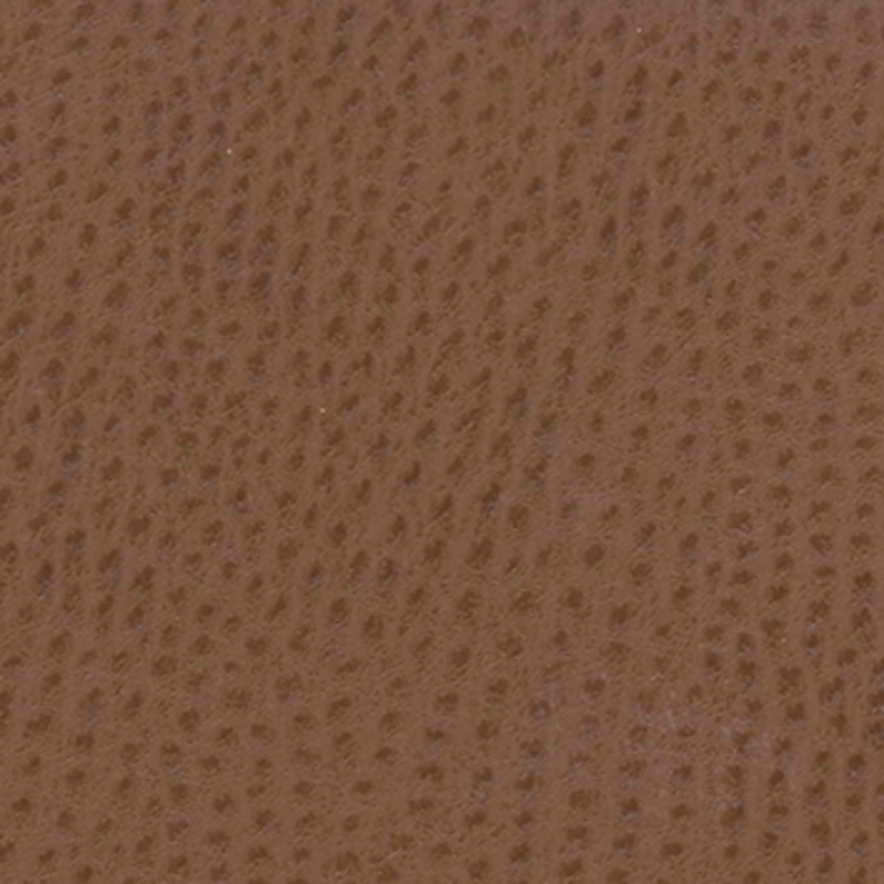 Viletta — Mocha