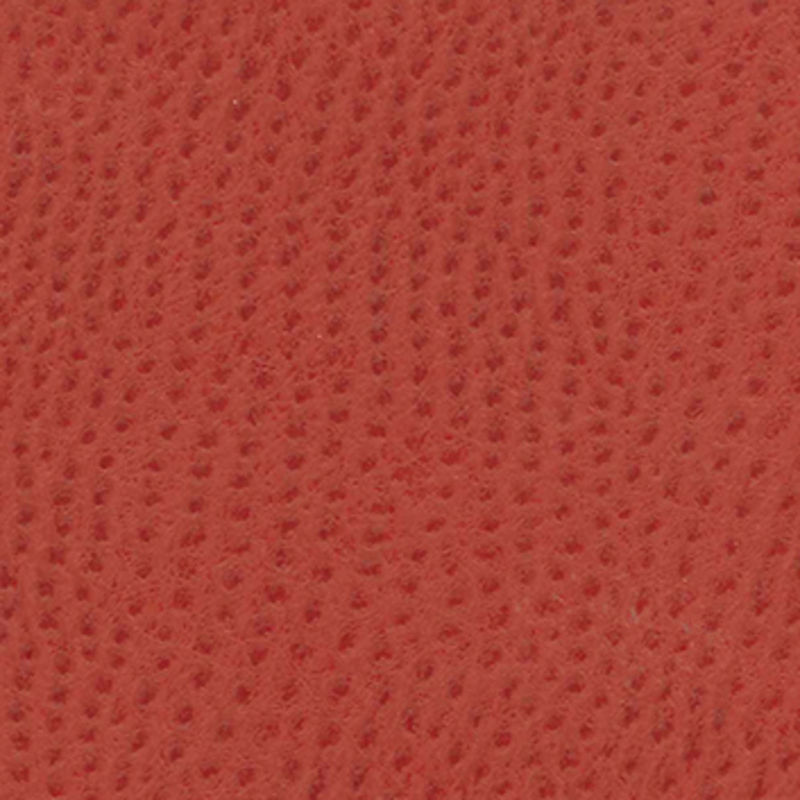 Viletta — Raspberry