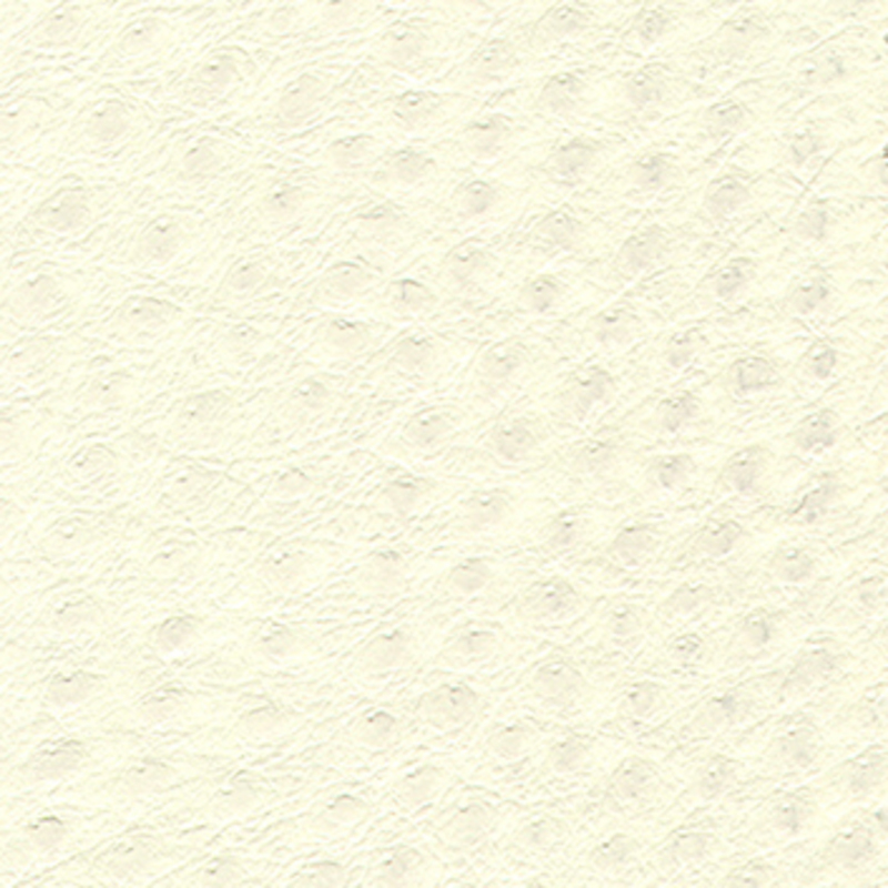 Viletta — Snowflake