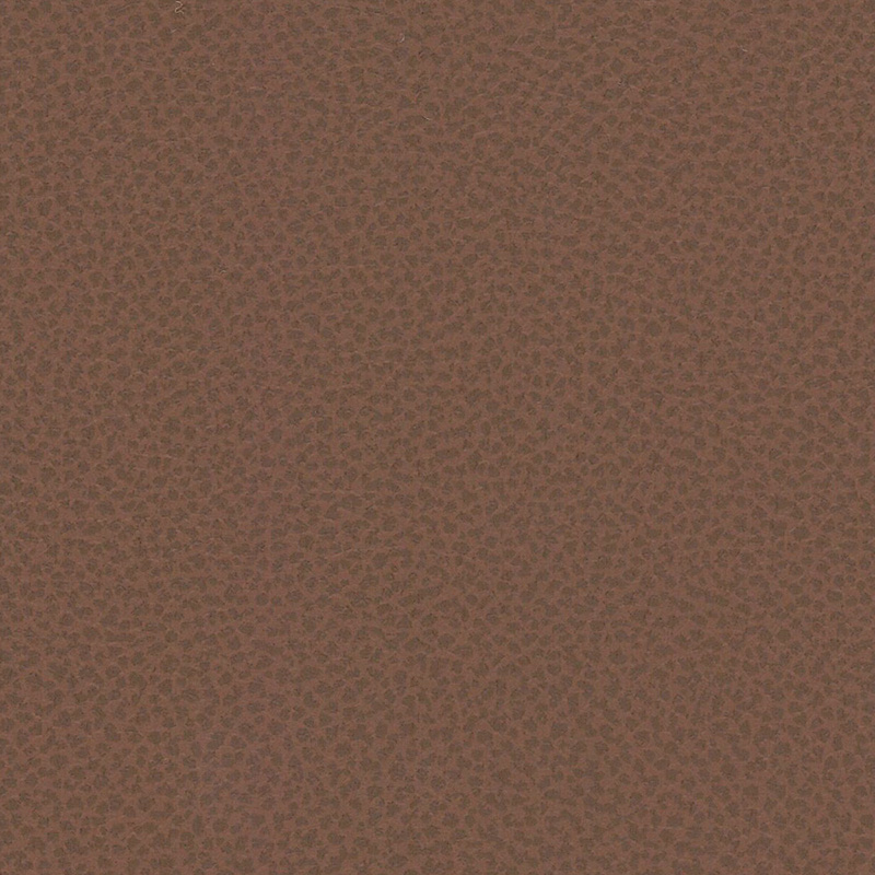 Viral — Cacao