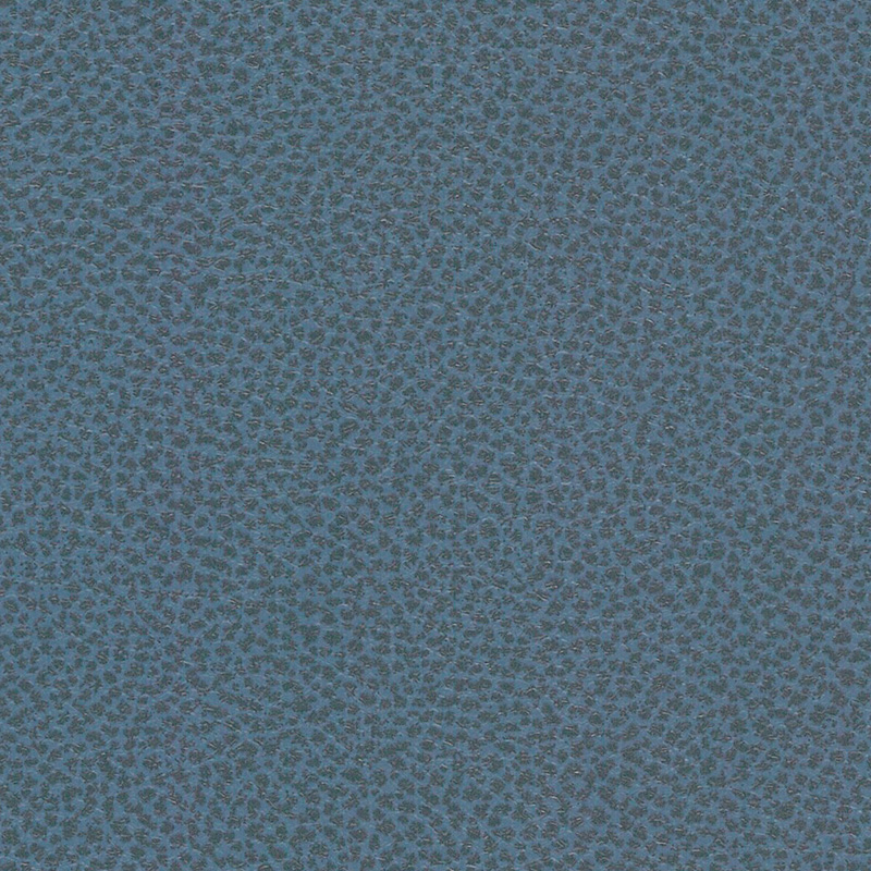 Viral — Ocean