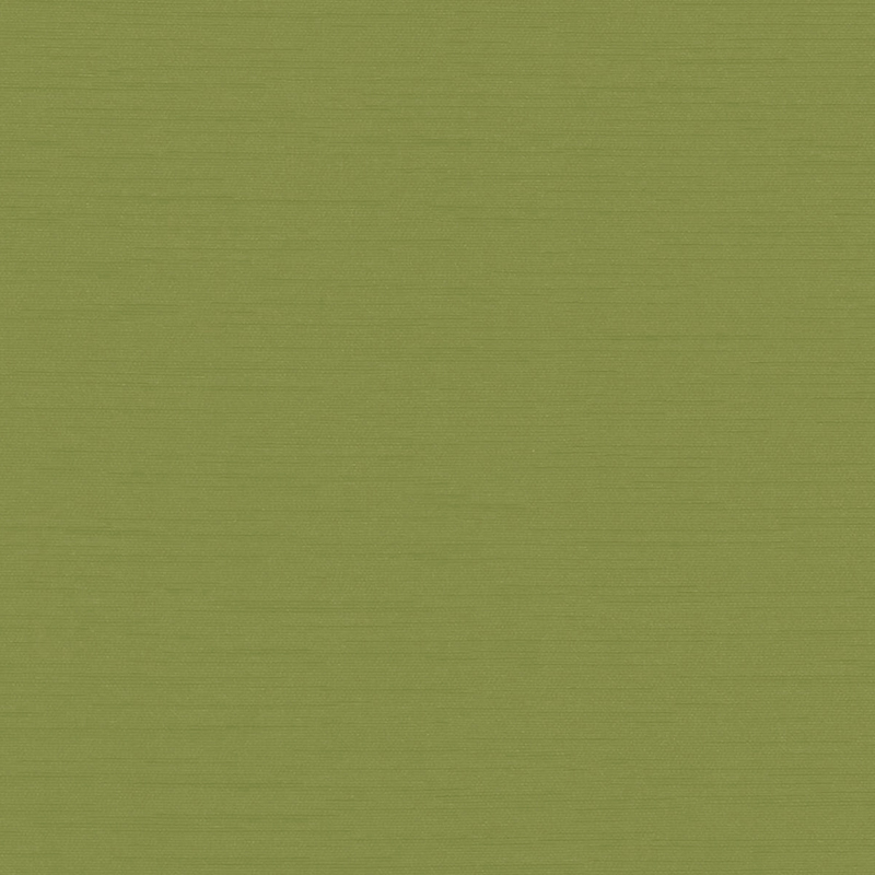 Visible — Boxwood