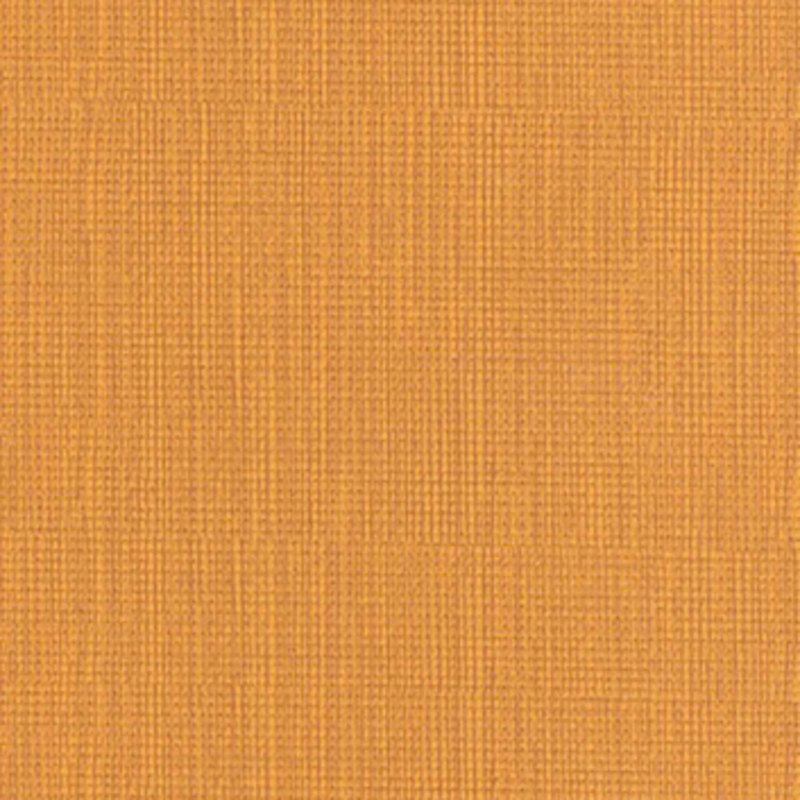 Visual — Adobe
