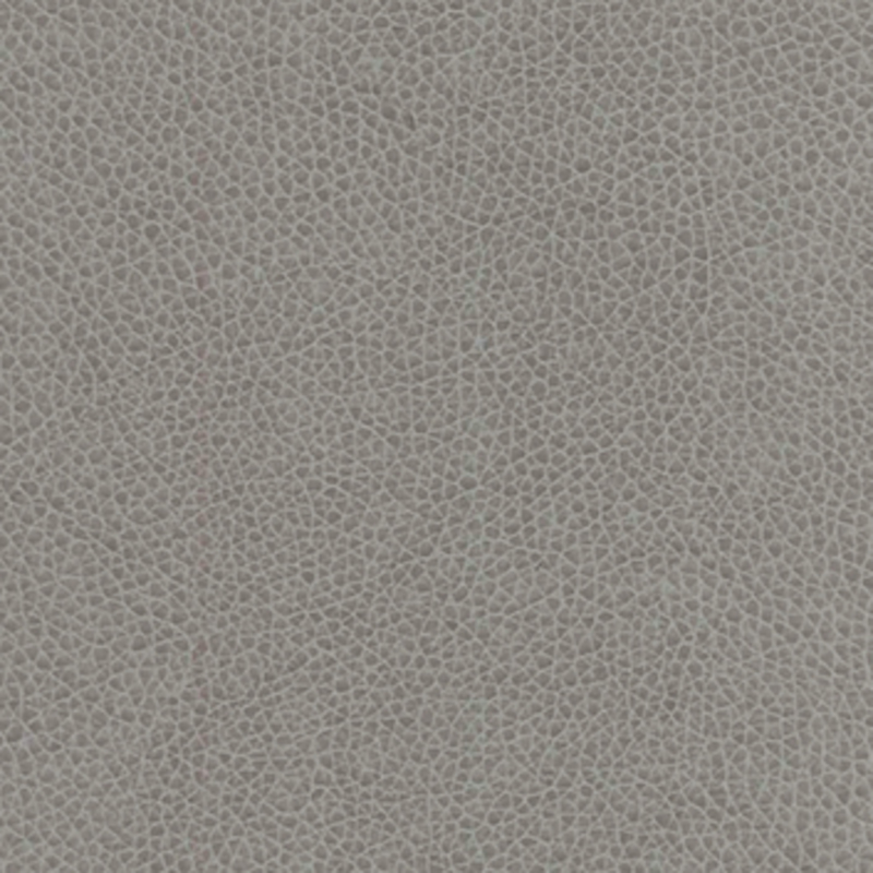 Vivid — Cement