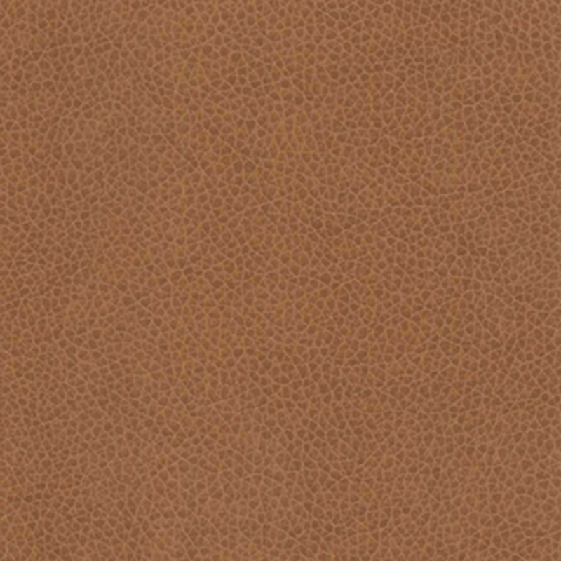 Vivid — Cognac