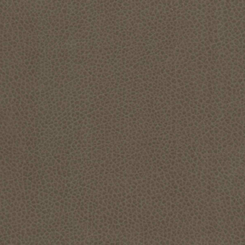 Vivid — Granite