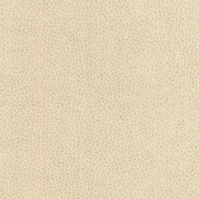 Vivid — Linen