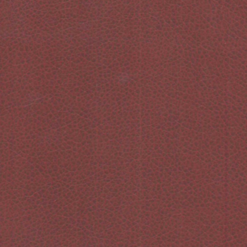 Vivid — Merlot