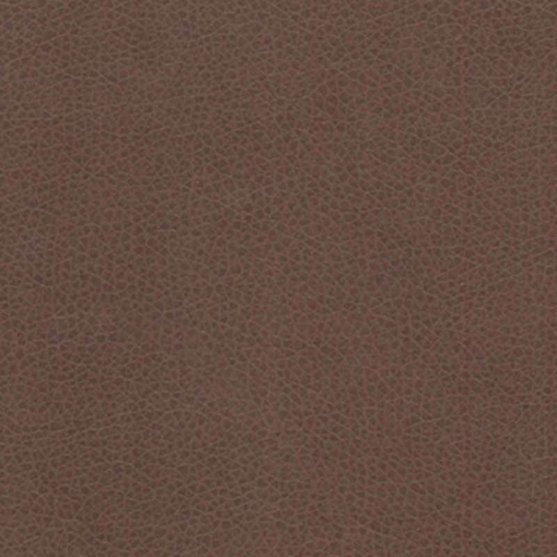 Vivid — Oak