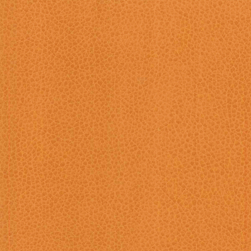 Vivid — Pumpkin